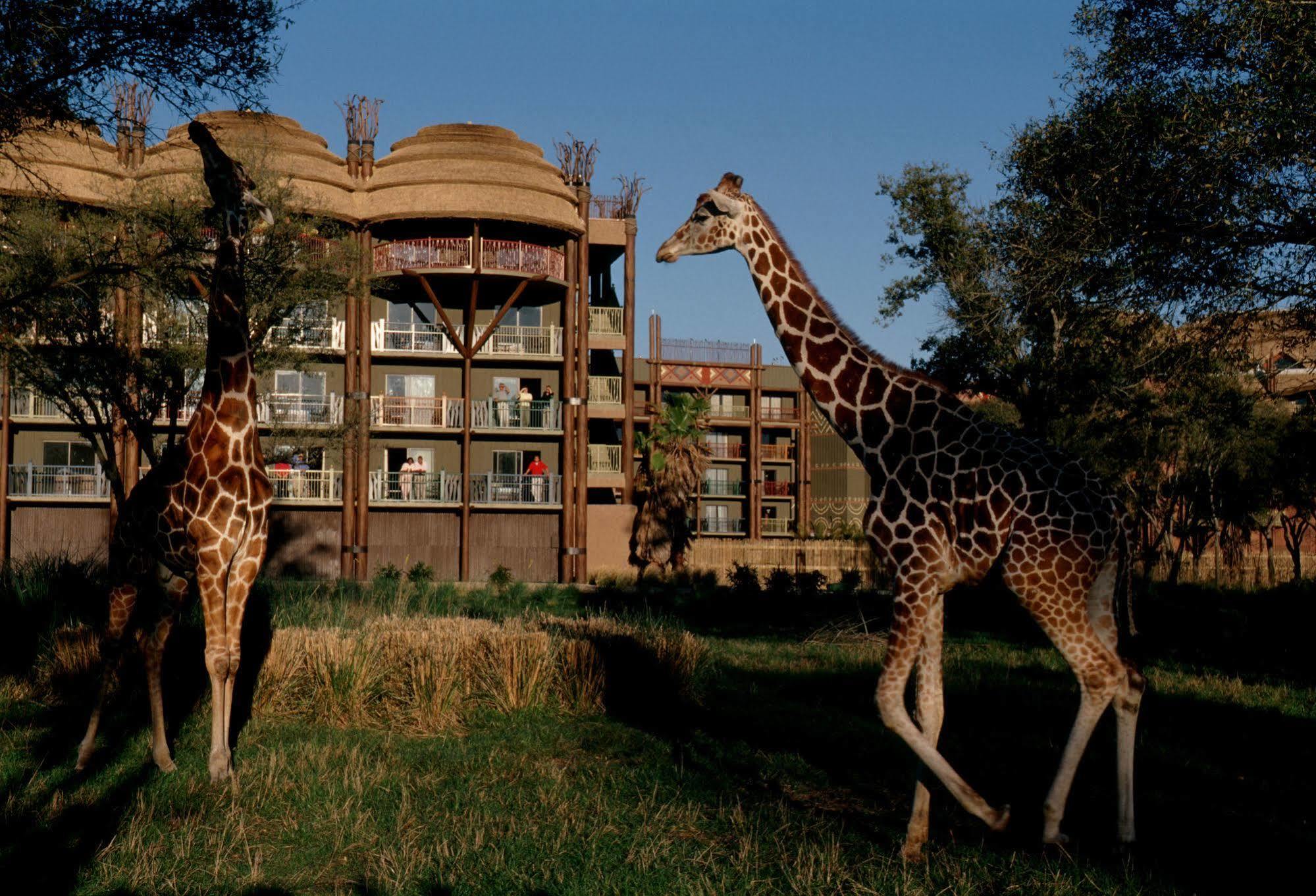 Disney'S Animal Kingdom Villas - Kidani Village Lake Buena Vista Zewnętrze zdjęcie